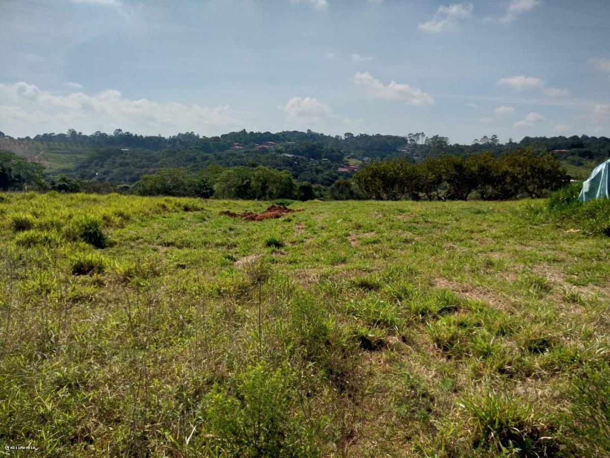 Terreno, 2 hectares - Foto 5