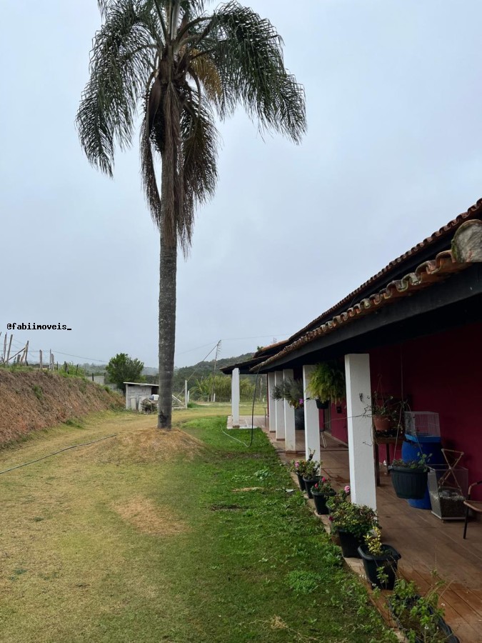 Chácara, 4 quartos, 6424 m² - Foto 22