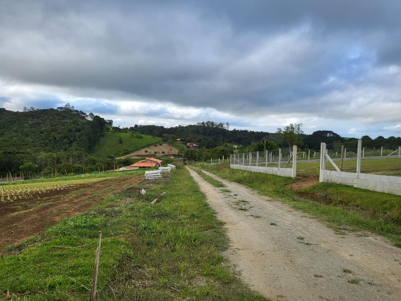 Chácara, 4 quartos, 6424 m² - Foto 30