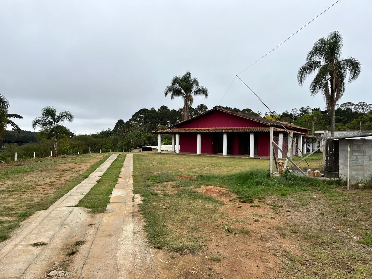 Chácara, 4 quartos, 6424 m² - Foto 32